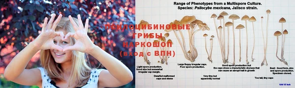 винт Алексеевка