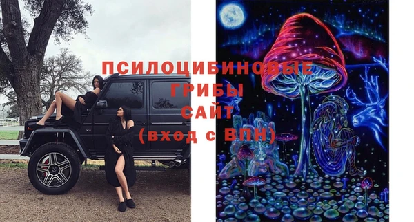 винт Алексеевка