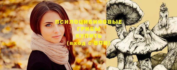 экстази Абаза