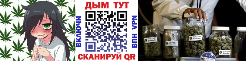 Бошки Шишки конопля Тутаев