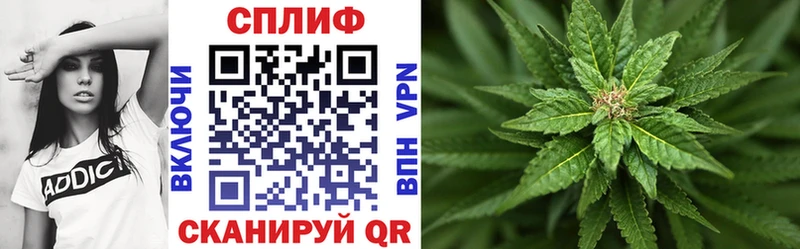 Марихуана индика  Тутаев 